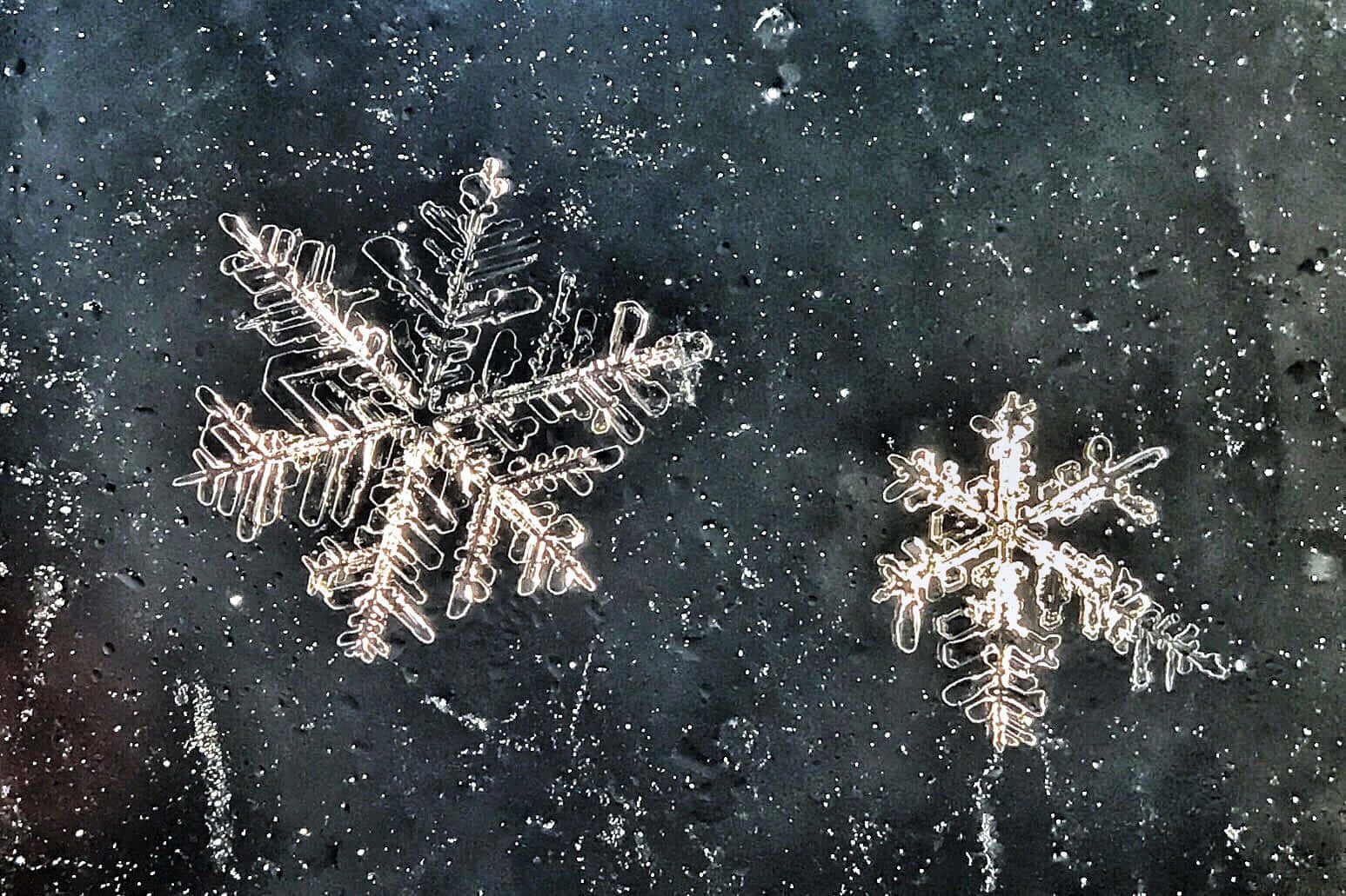 A stunning snowflake frozen in time