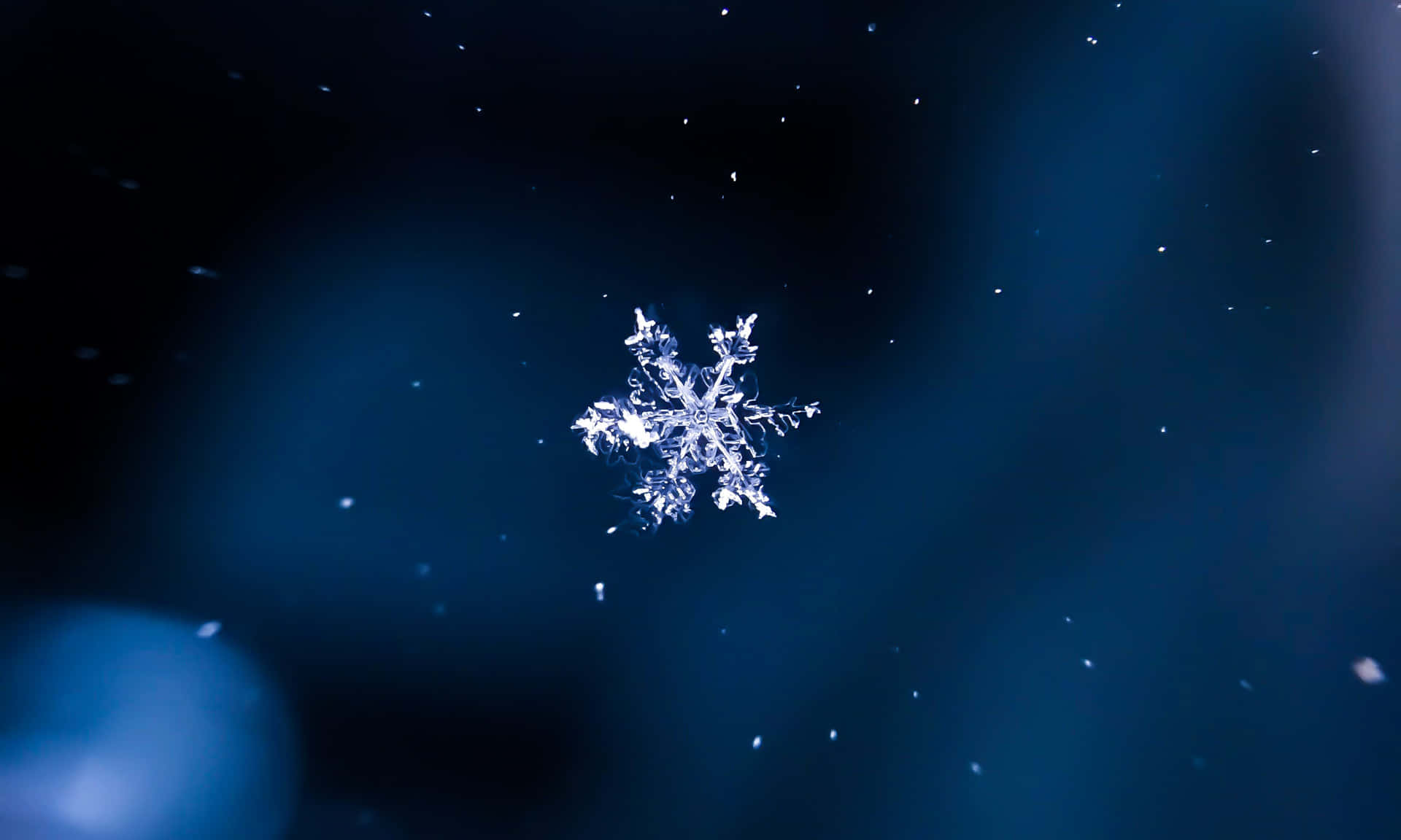 Diesesschneeflockenbild Zeigt Die Zarte Und Einzigartige Schönheit Von Schneeflocken.