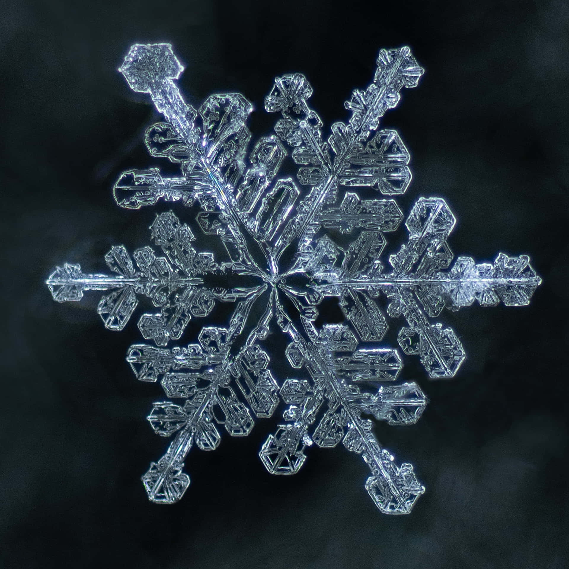 An intricate snowflake on a crisp winter day