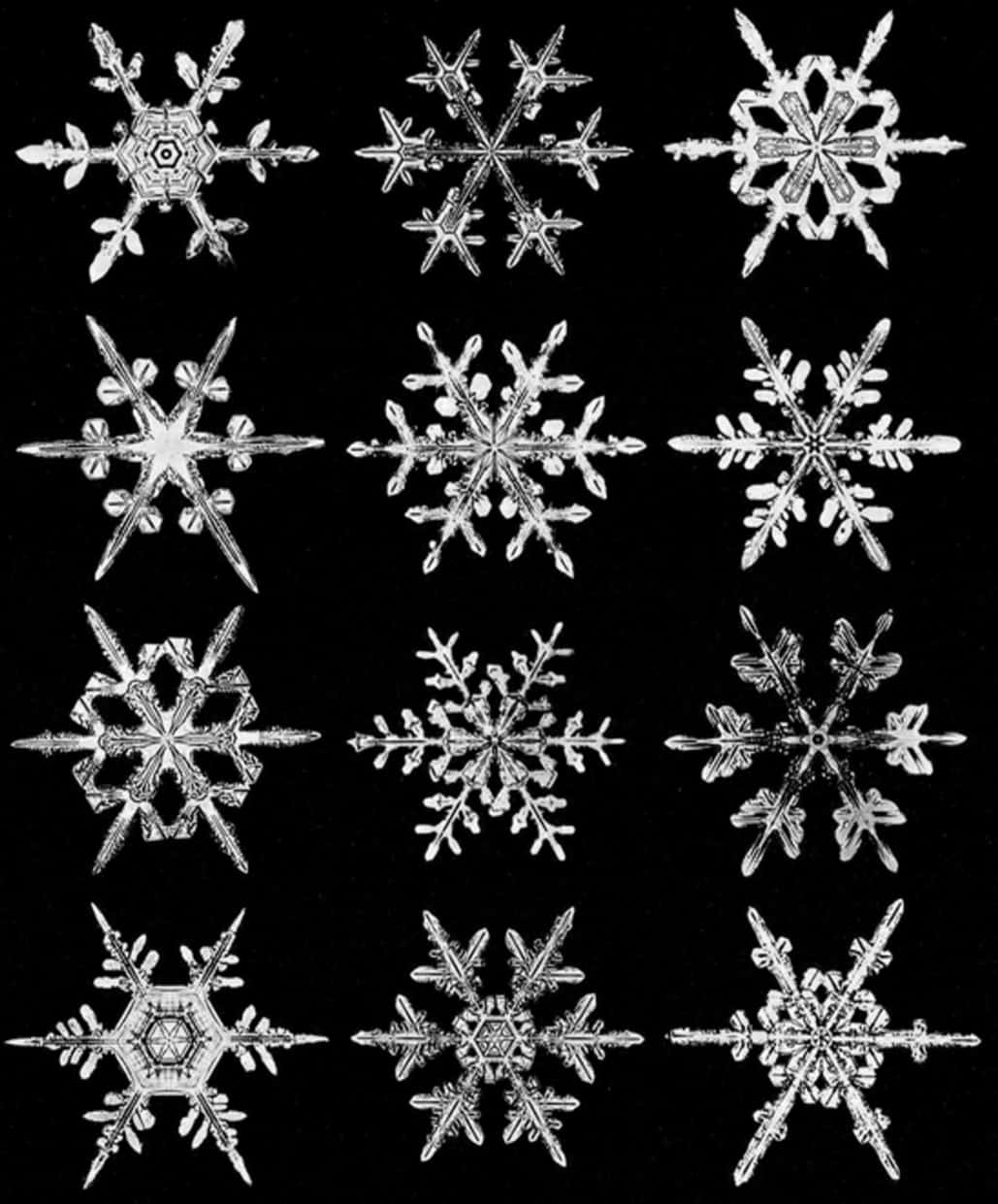 A close-up of a beautiful snowflake