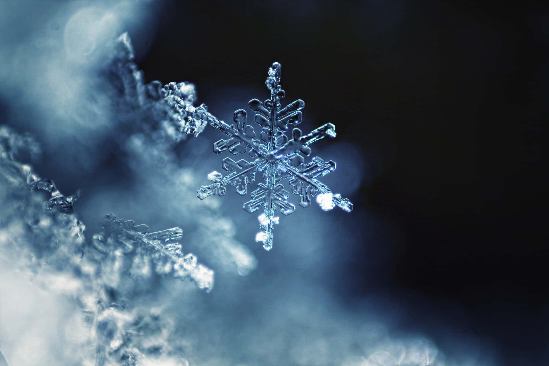 Glistening Snowflake