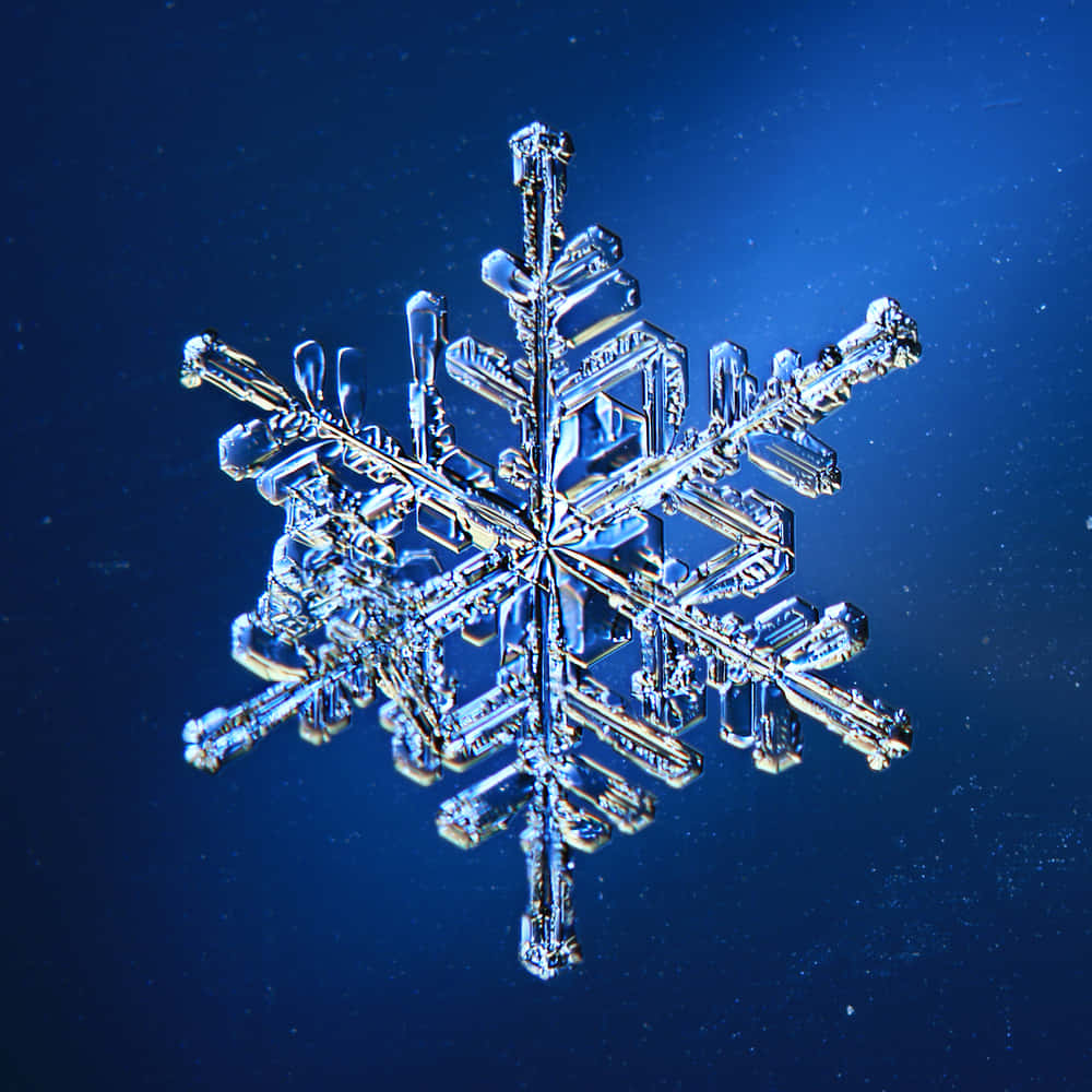 A close-up of a beautiful and intricate snowflake