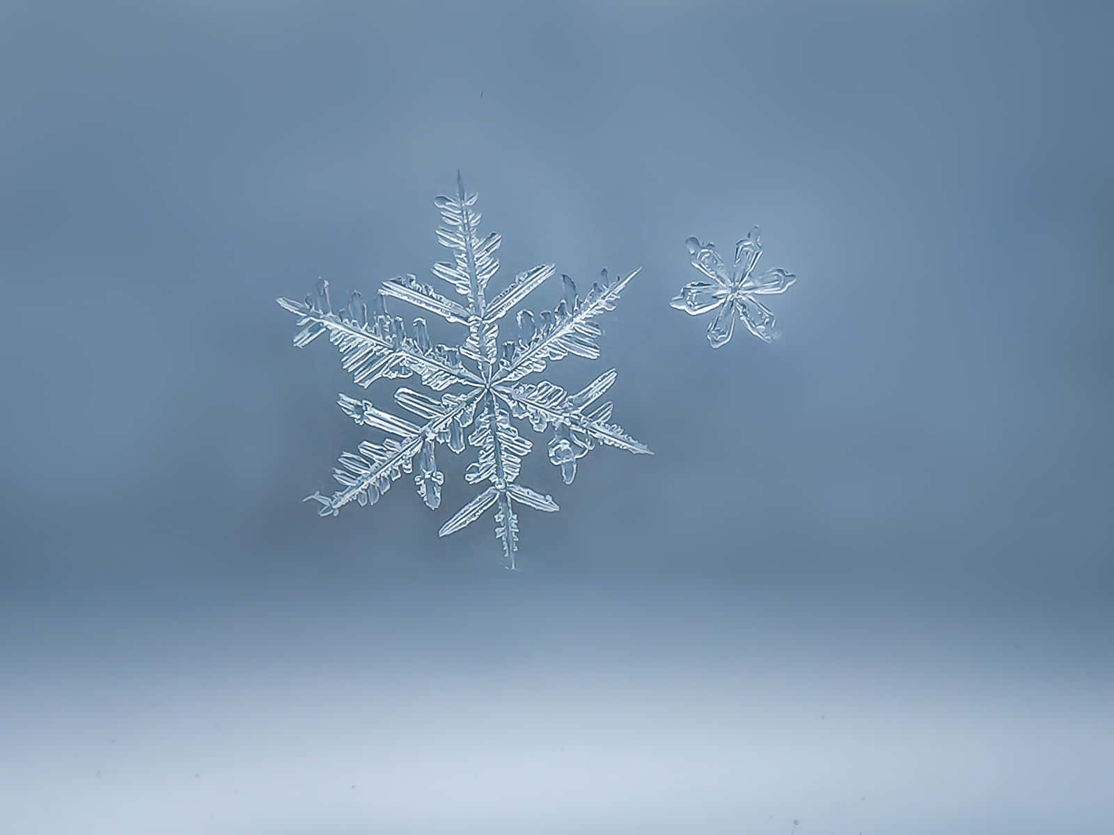 Photo  A beautiful snowflake pattern created by crystallized ice flakes