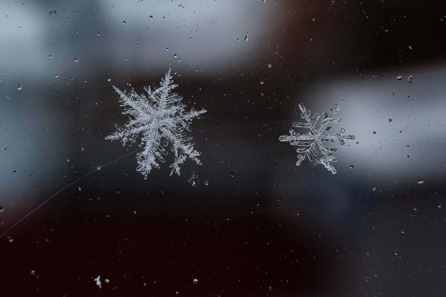 Winter wonderland of snowflakes