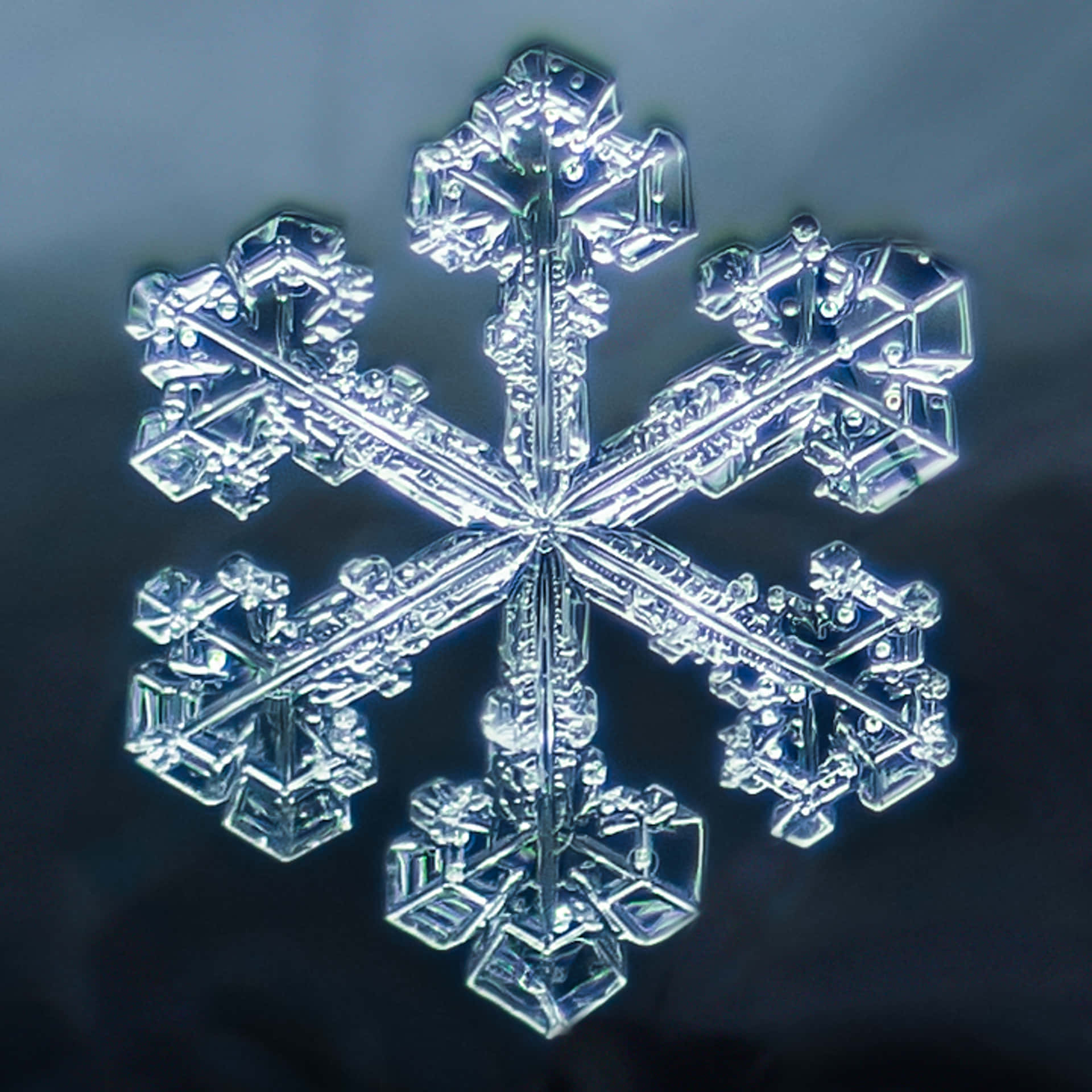 A crystal-clear snowflake catching the light in its intricate design