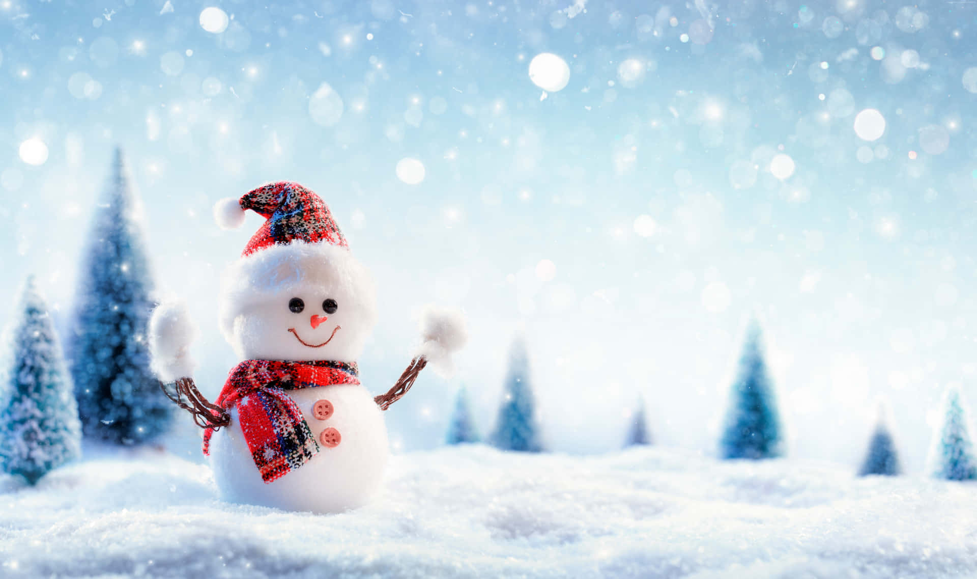 Adorable Snowman in the Winter Wonderland