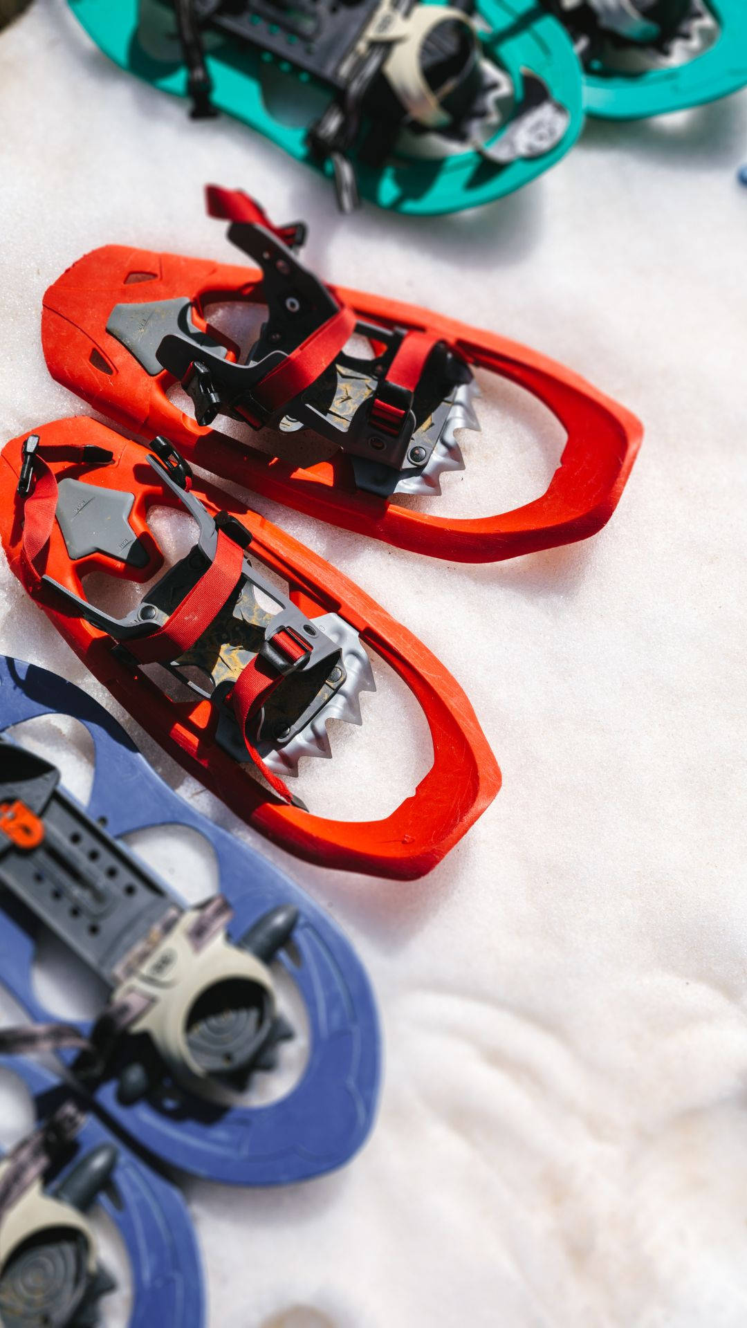 Snowshoeing Snow Shoes Wallpaper
