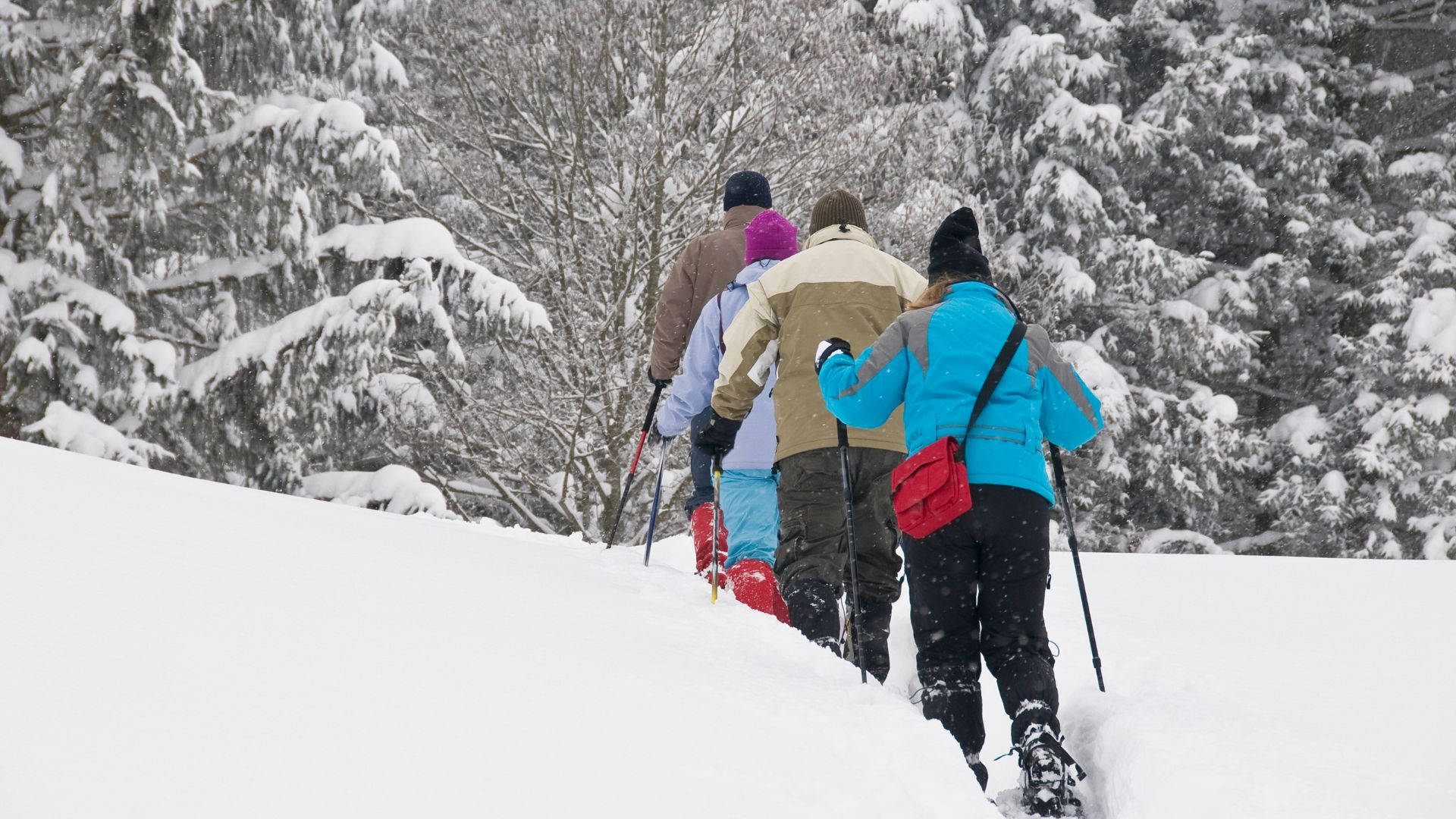 Snowshoeing With Friends Wallpaper