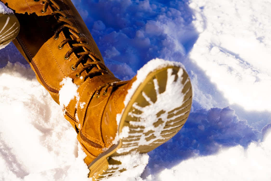 Snowshoes resting on a snowy trail in a winter landscape. Wallpaper