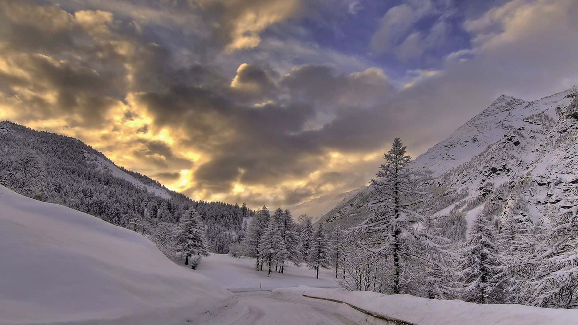 A breathtaking snowstorm in a serene winter landscape Wallpaper
