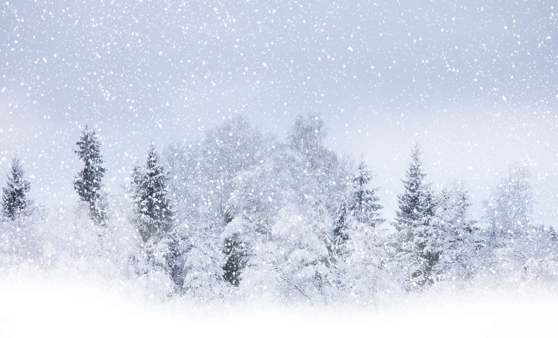 Scenic Winter Snowstorm Landscape Wallpaper