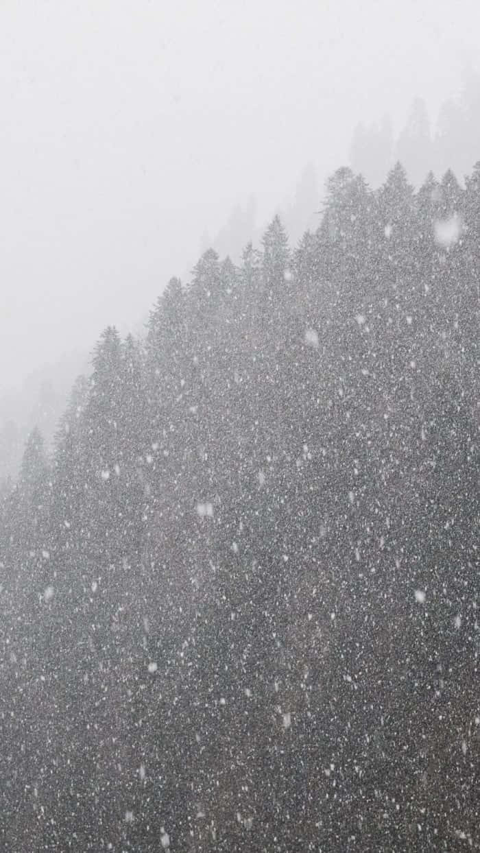 Caption: Snowstorm covering the landscape Wallpaper