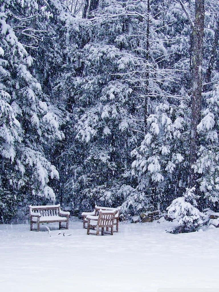 Tormentade Nieve En Un Paraíso Invernal Fondo de pantalla