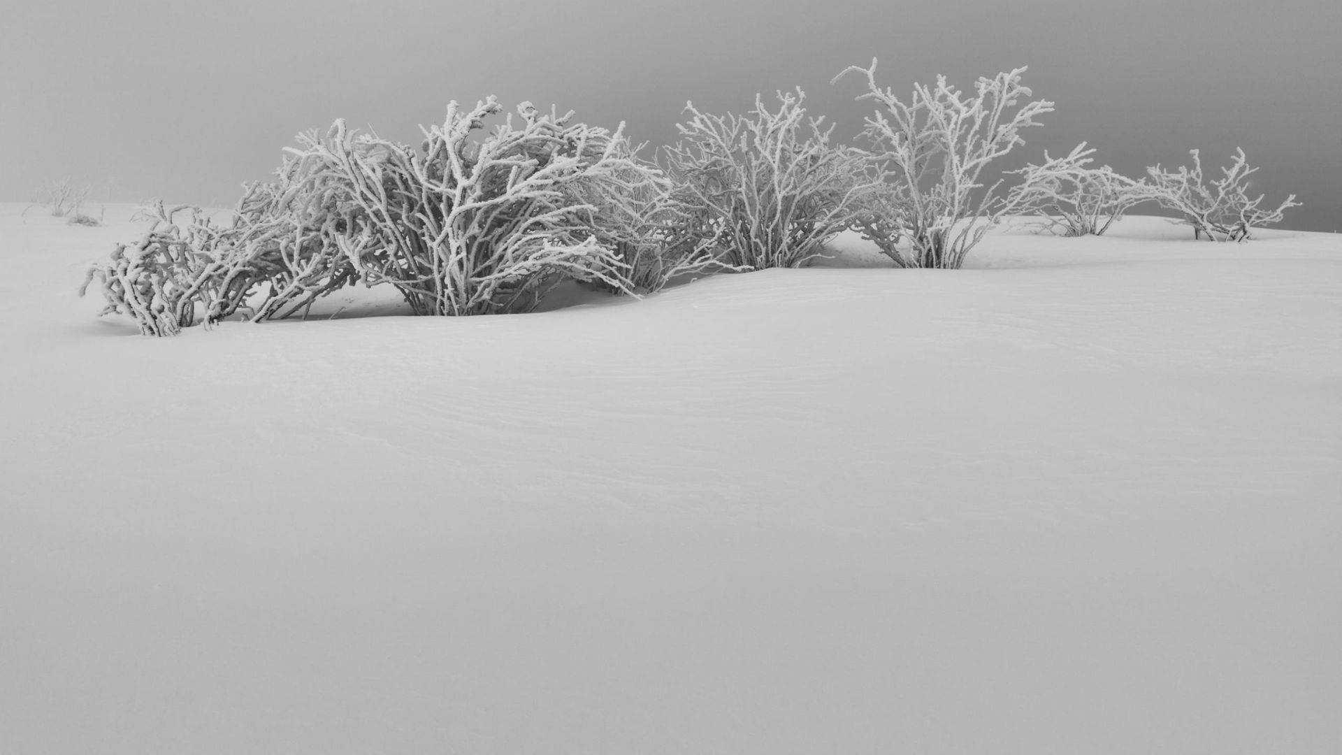 Snowy Aesthetic White Place Wallpaper