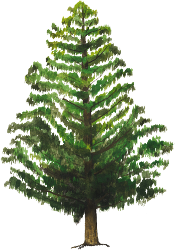 Snowy Artificial Christmas Tree.png PNG