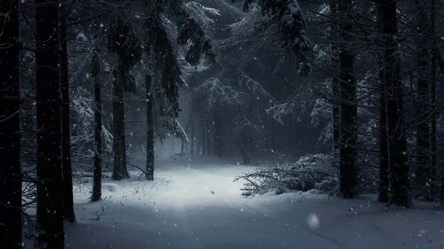Dark Forest Snowy Background