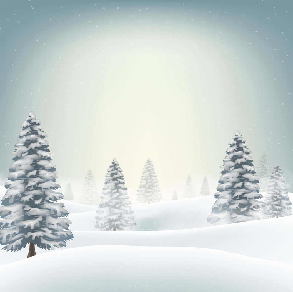 Pine Christmas Tree Snowy Background
