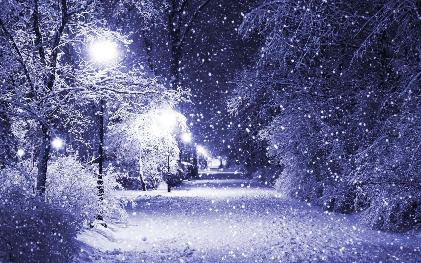 Lovely Night Snowy Background