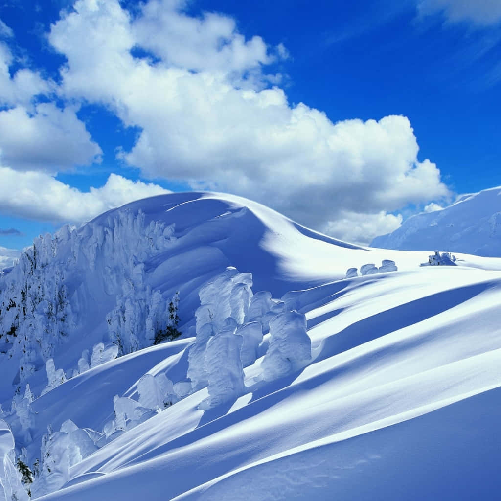 Eingeschneitesbergpanorama Mit Schneebedecktem Hintergrund