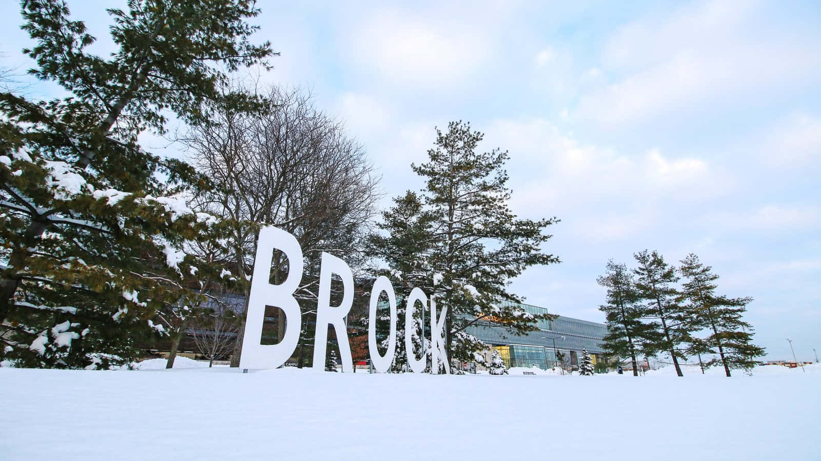 Brock Park Snowy Background