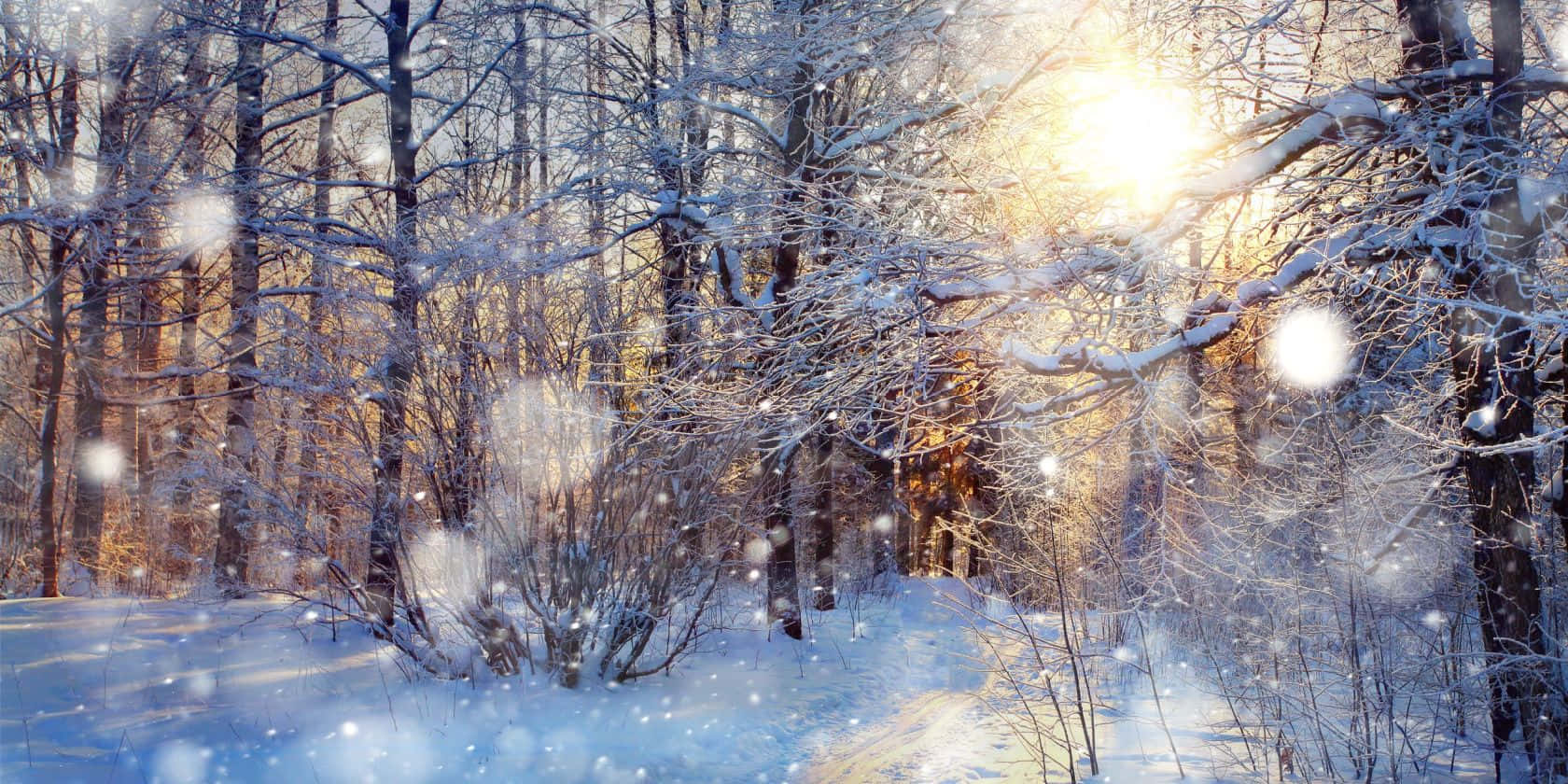 Sunrays Snowy Background