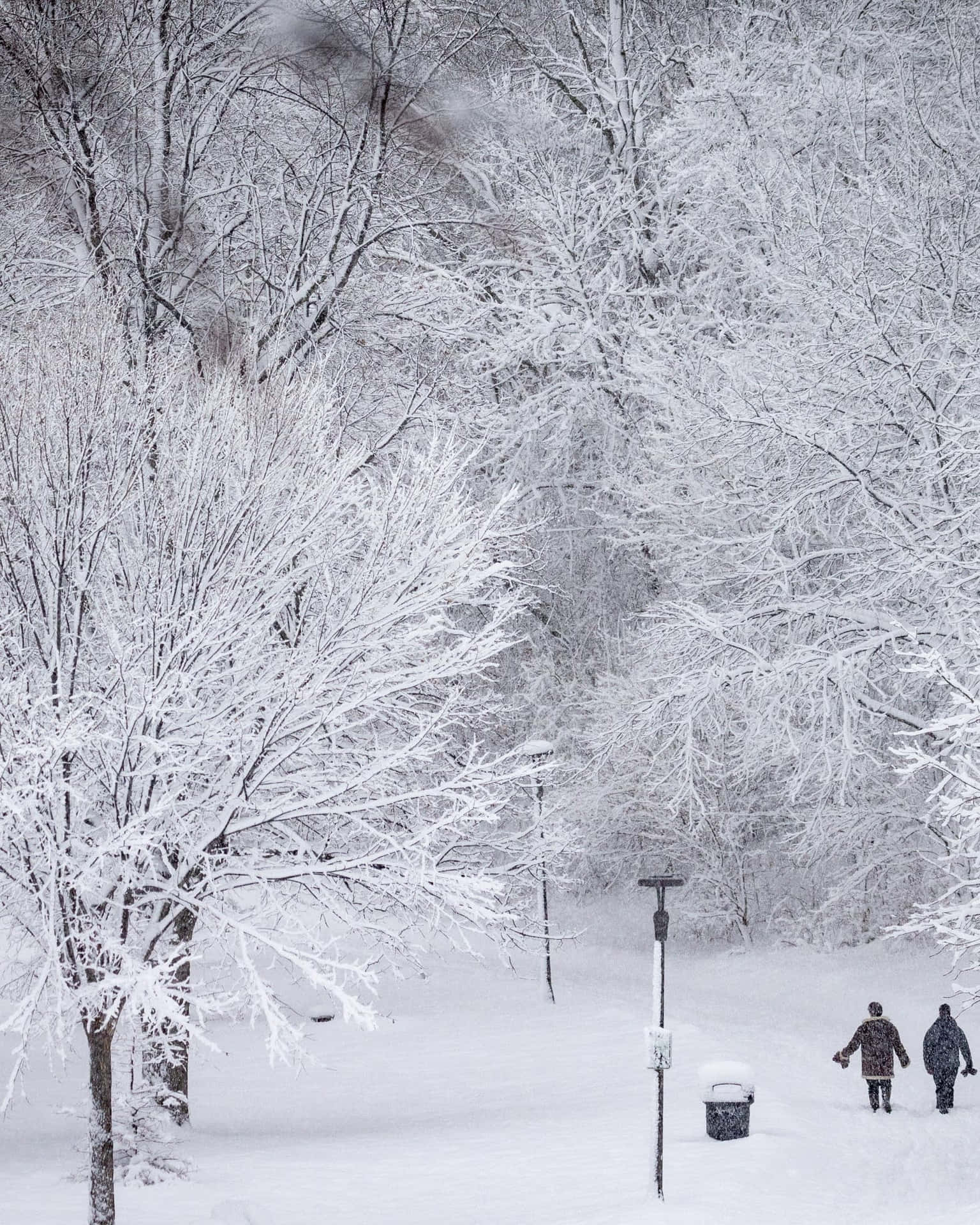 People Walking On Snowy Background