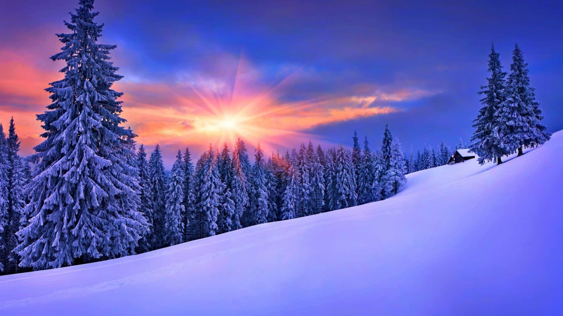 Caption: A tranquil winter wonderland