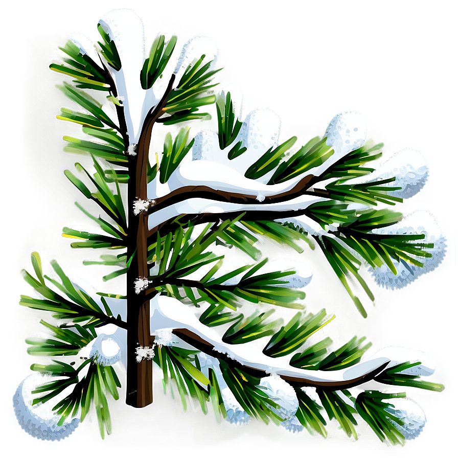 Snowy Branches Transparent Png 05252024 PNG