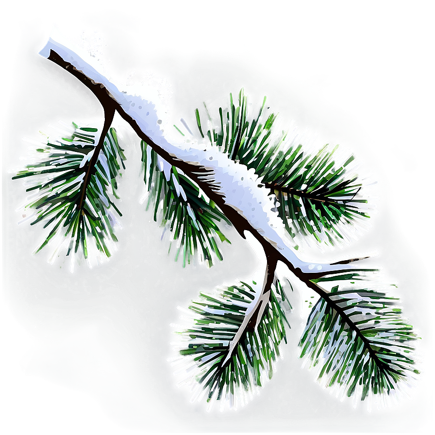 Snowy Branches Transparent Png Fga PNG