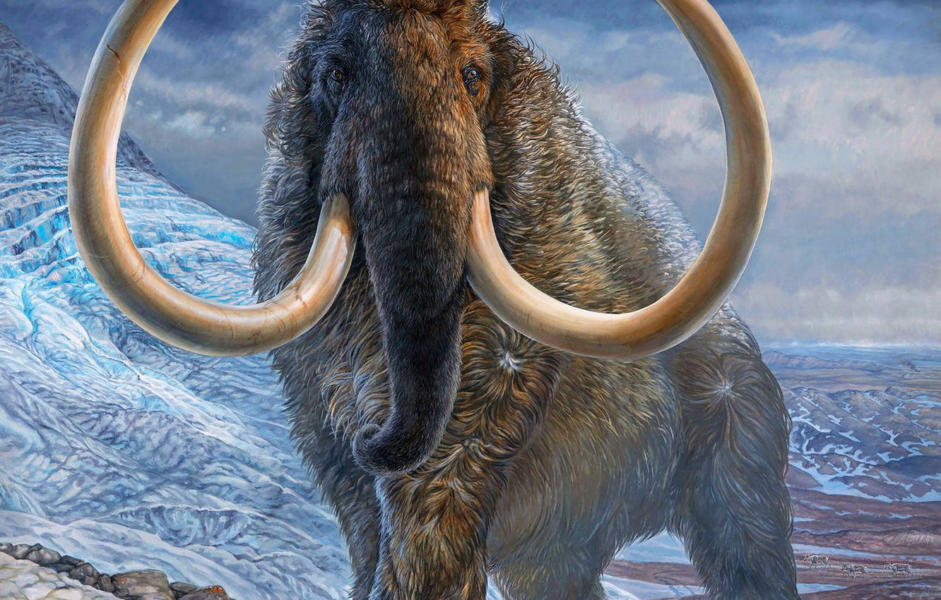 Snowy Buff Mammoth Wallpaper