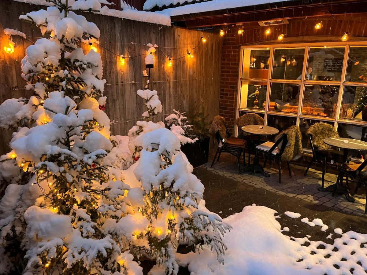 Snowy Cafe Terrace Lillehammer Wallpaper