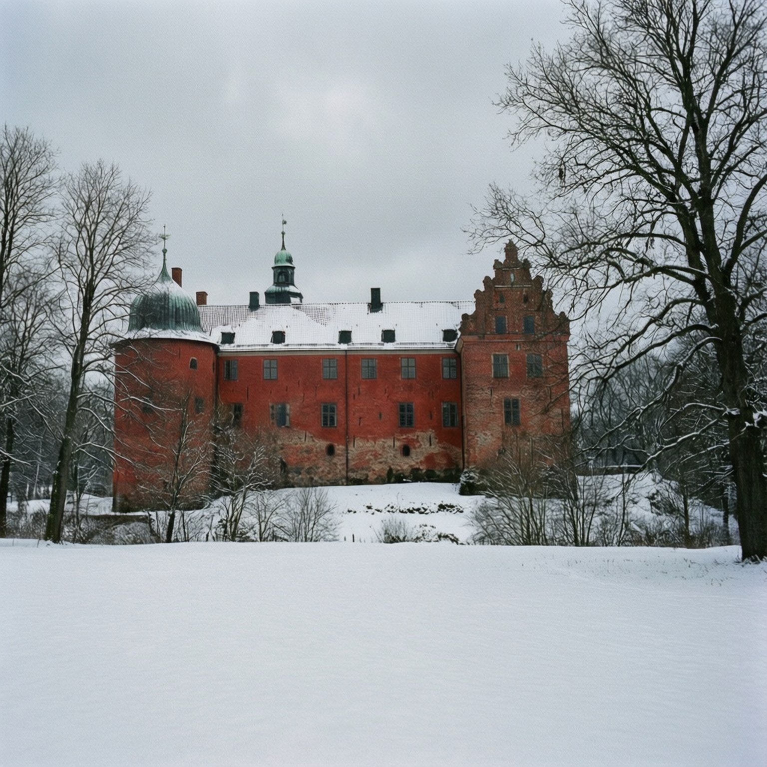 Snowy Castle