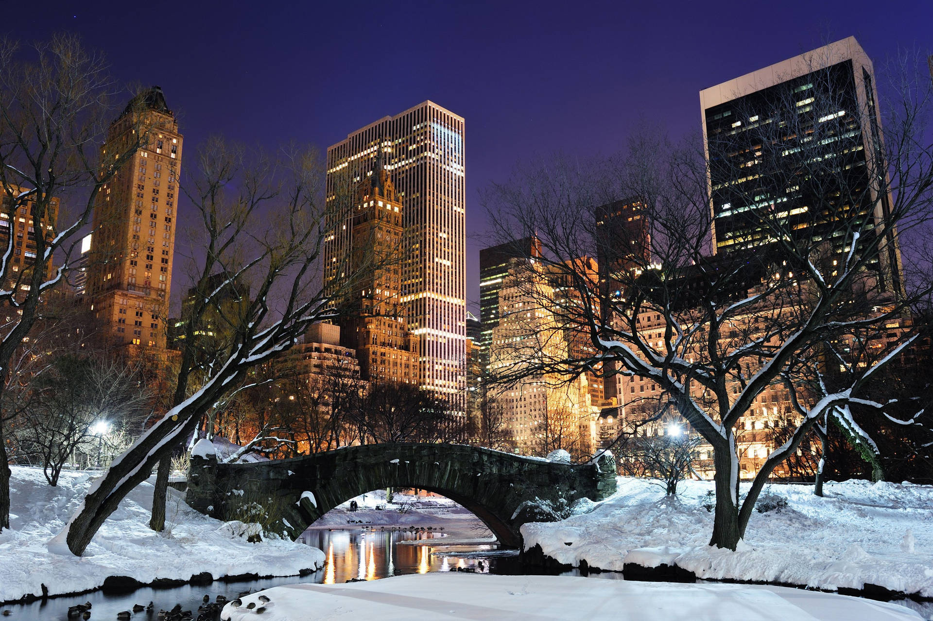 Snowy Central Park New York Night Iphone Wallpaper