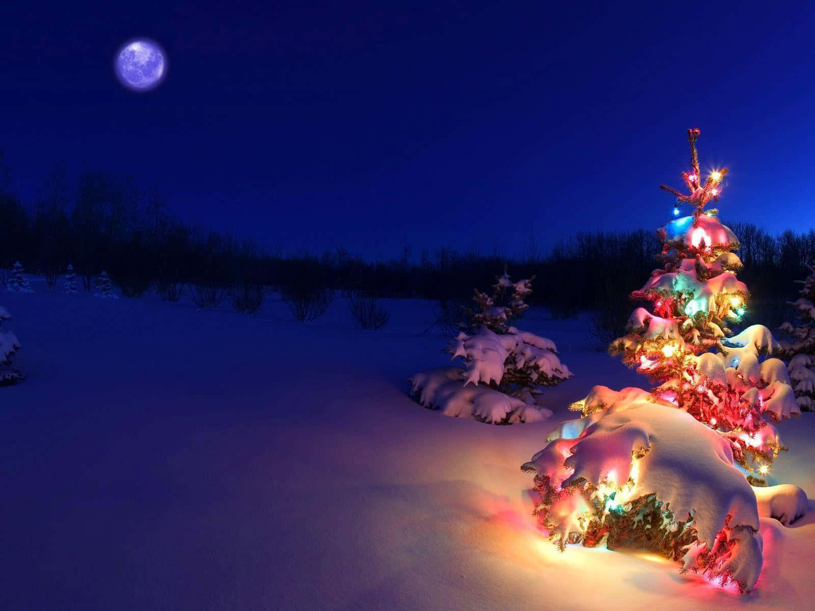 “A Scene Of Snowy Winter Wonderland On Christmas”