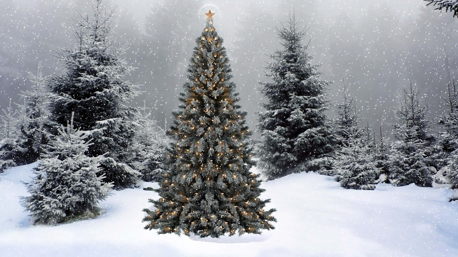 Fejren Hvid Jul Med Et Magisk Landskab