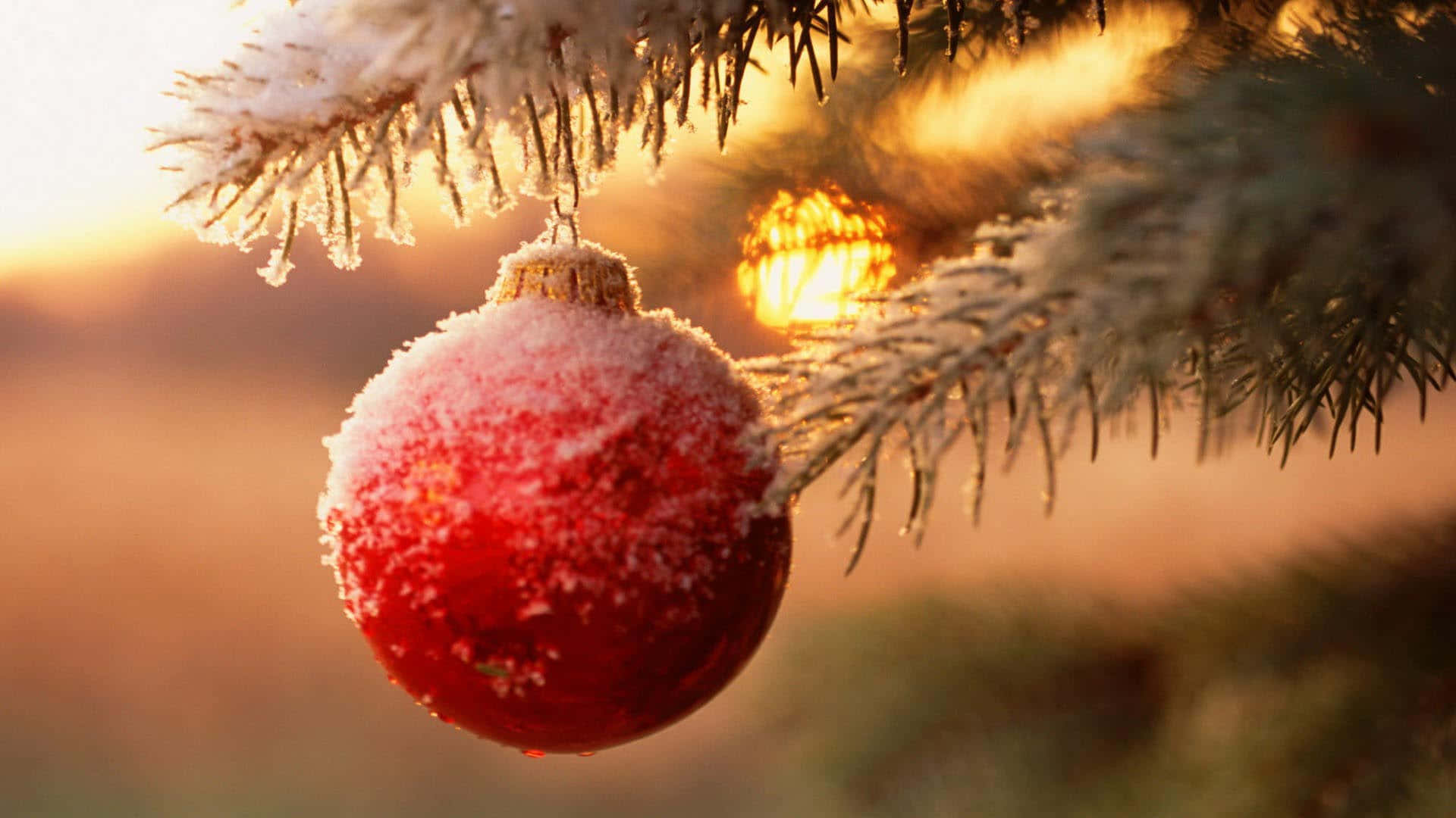 Christmas Ornament Hanging On A Tree Branch
