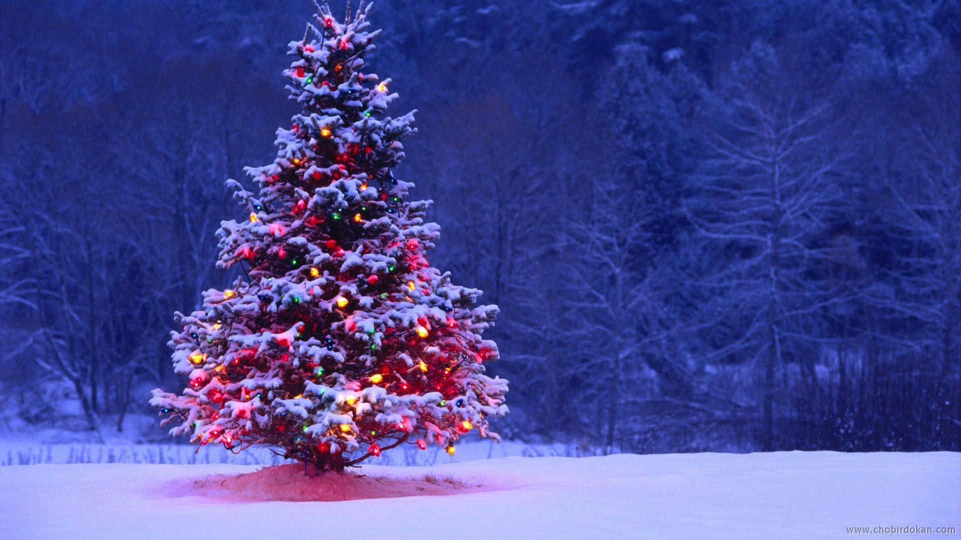 Feiernsie Die Festliche Jahreszeit Mit Einer Verschneiten Weihnachtslandschaft.