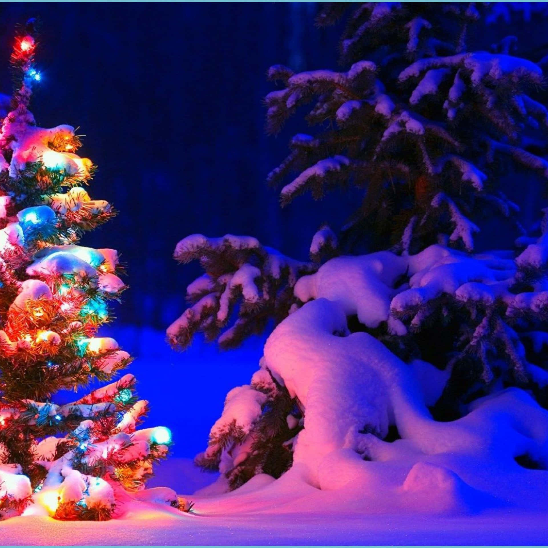 Celebralo Spirito Del Natale Con Una Coperta Bianca Di Neve