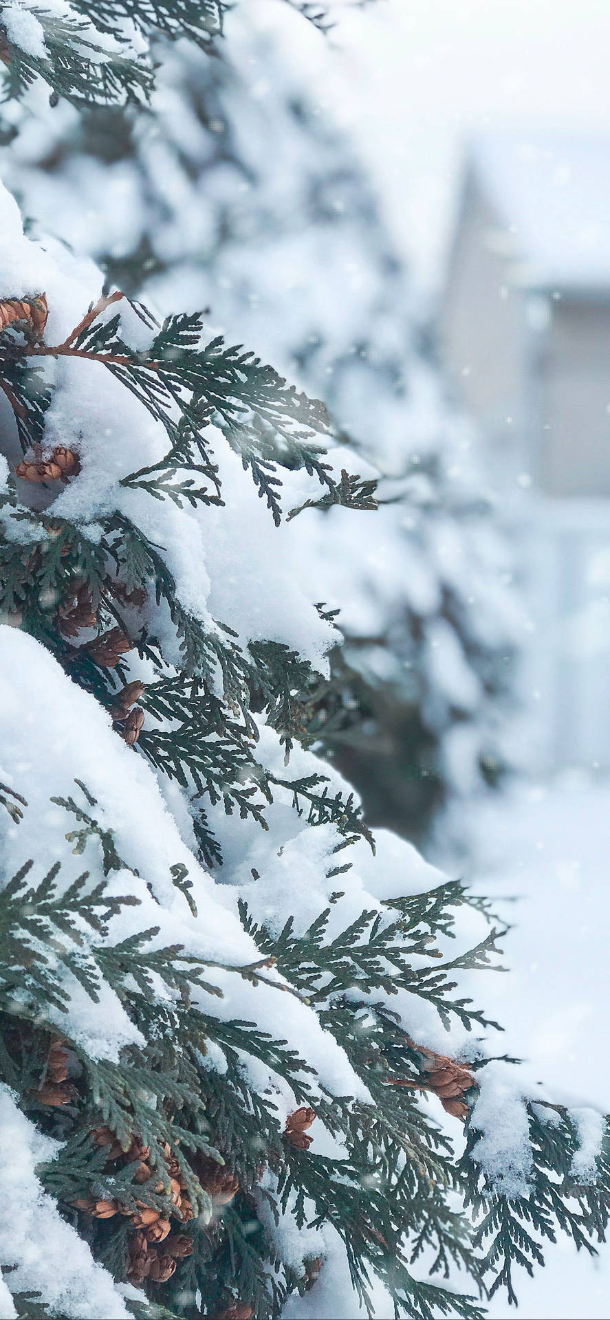 Image  "A Snowy Winter Christmas" Wallpaper