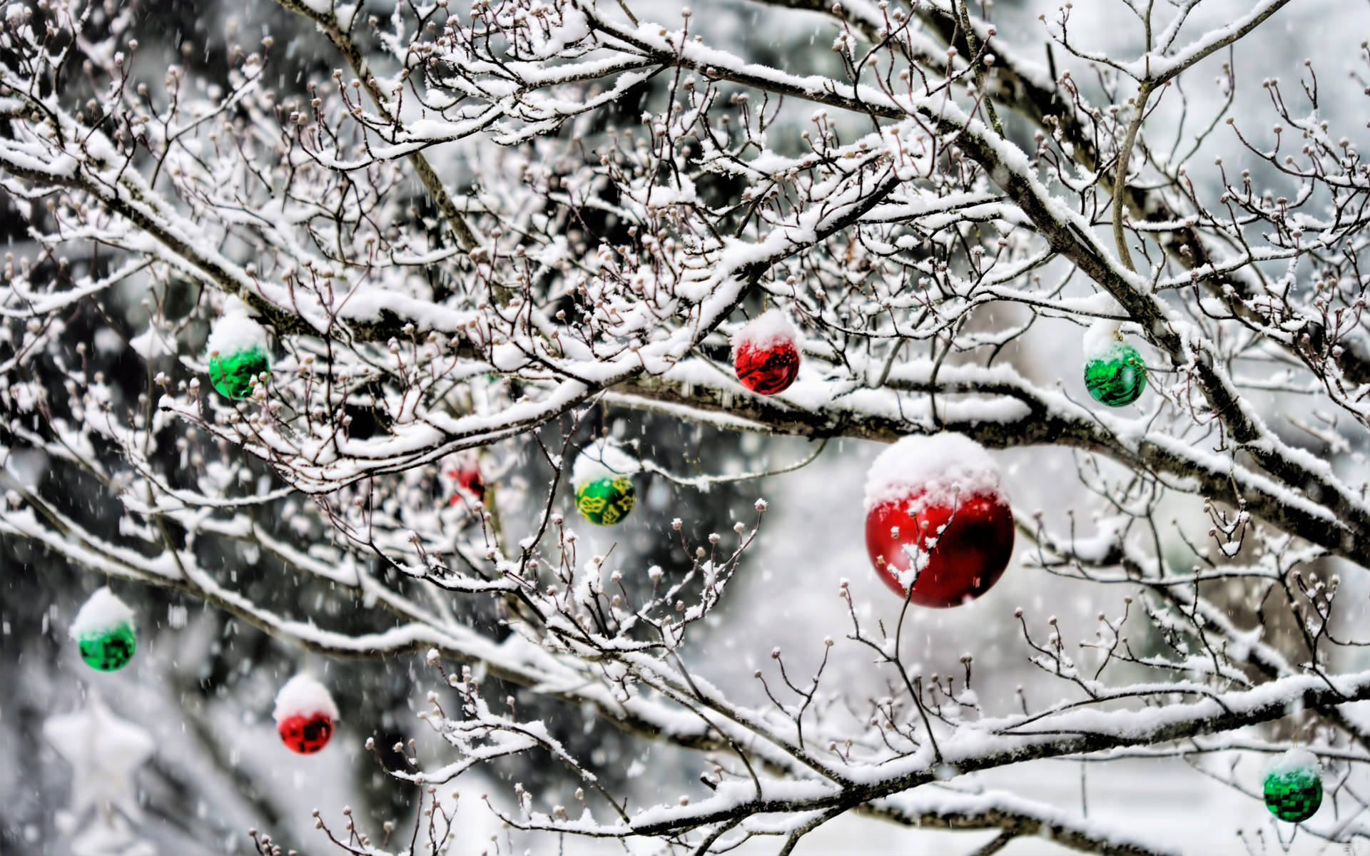 Snowy Christmas Branches Wallpaper