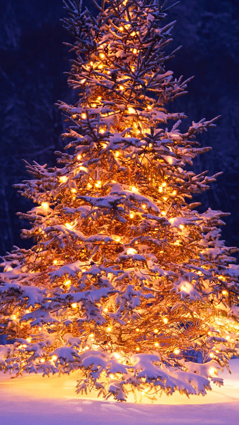 Snowy Christmas Tree Illuminated Night Wallpaper