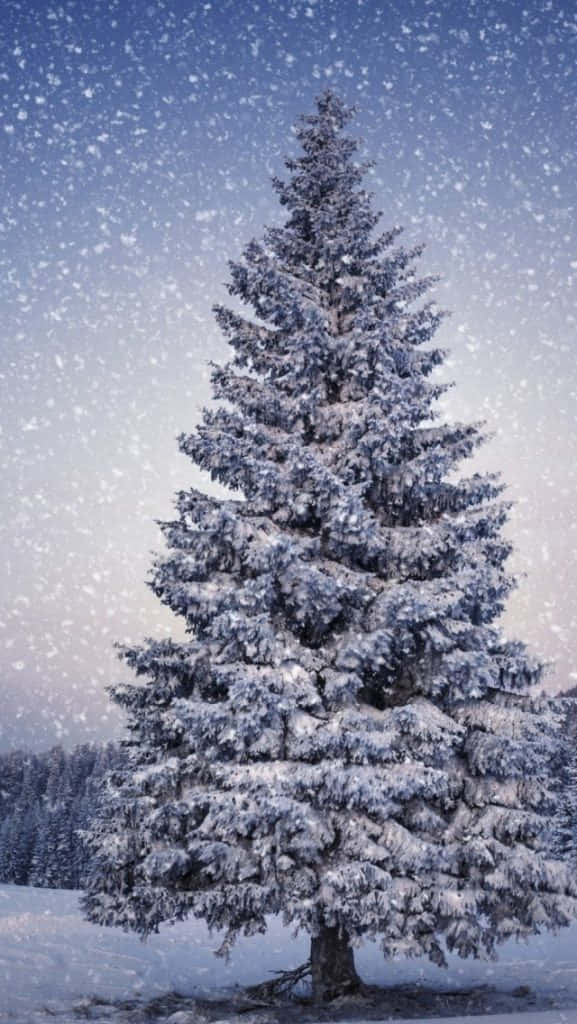 Snowy Christmas Tree Winter Scenery Wallpaper