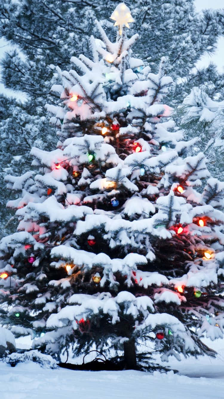 Snowy_ Christmas_ Tree_ With_ Lights Wallpaper