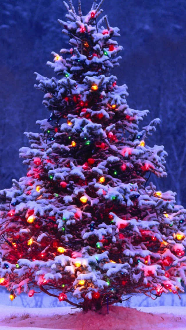 Snowy Christmas Treewith Lights Wallpaper