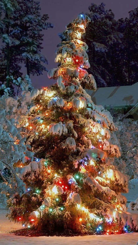 Snowy Christmas Treewith Lights Wallpaper