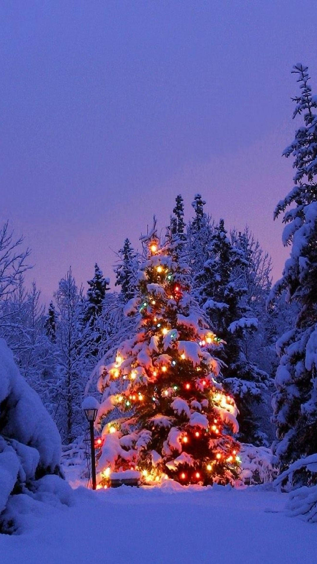 A Christmas Tree Is Lit Up In The Snow Wallpaper