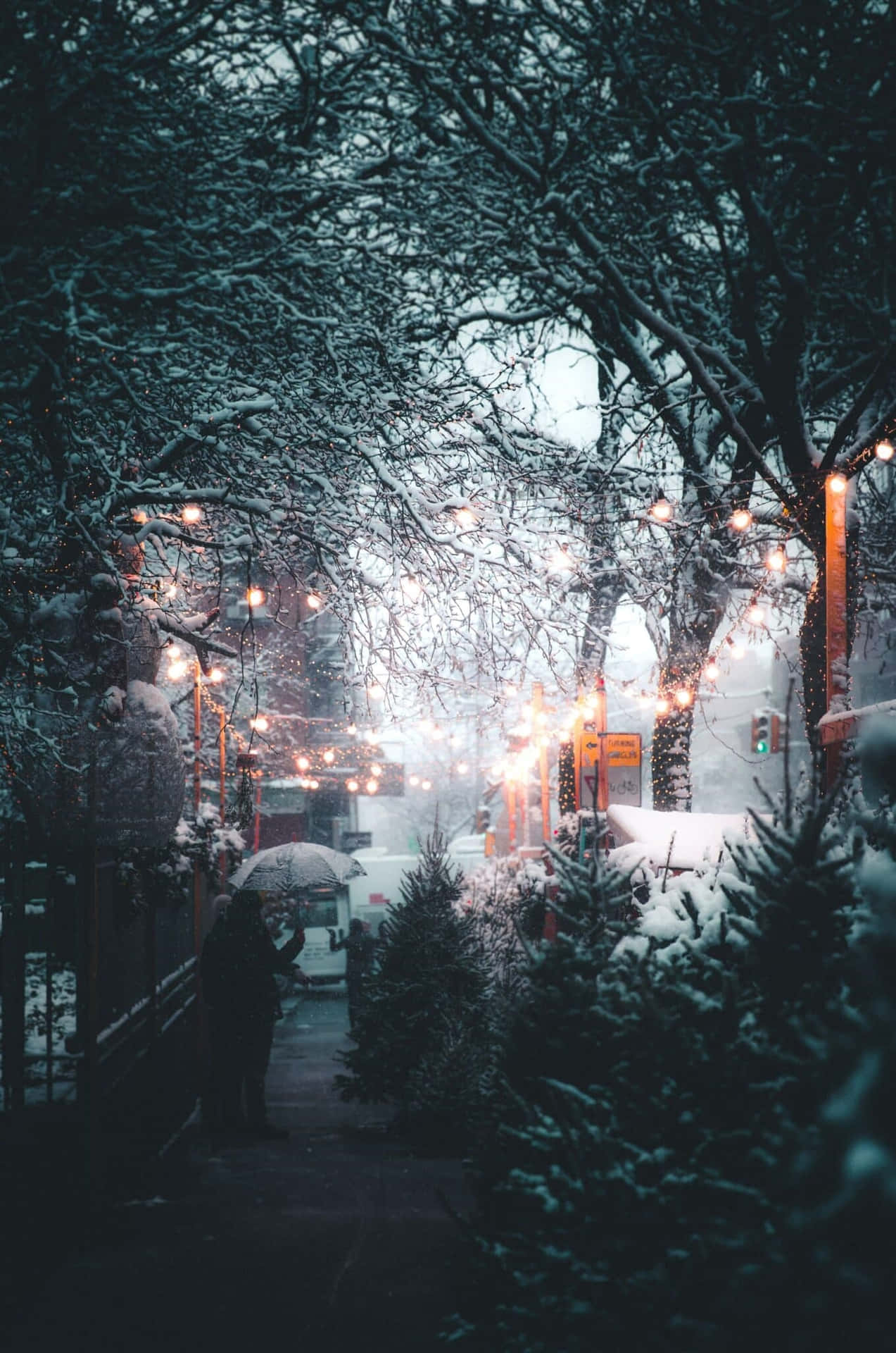 Snowy_ Evening_ Urban_ Lights.jpg Wallpaper