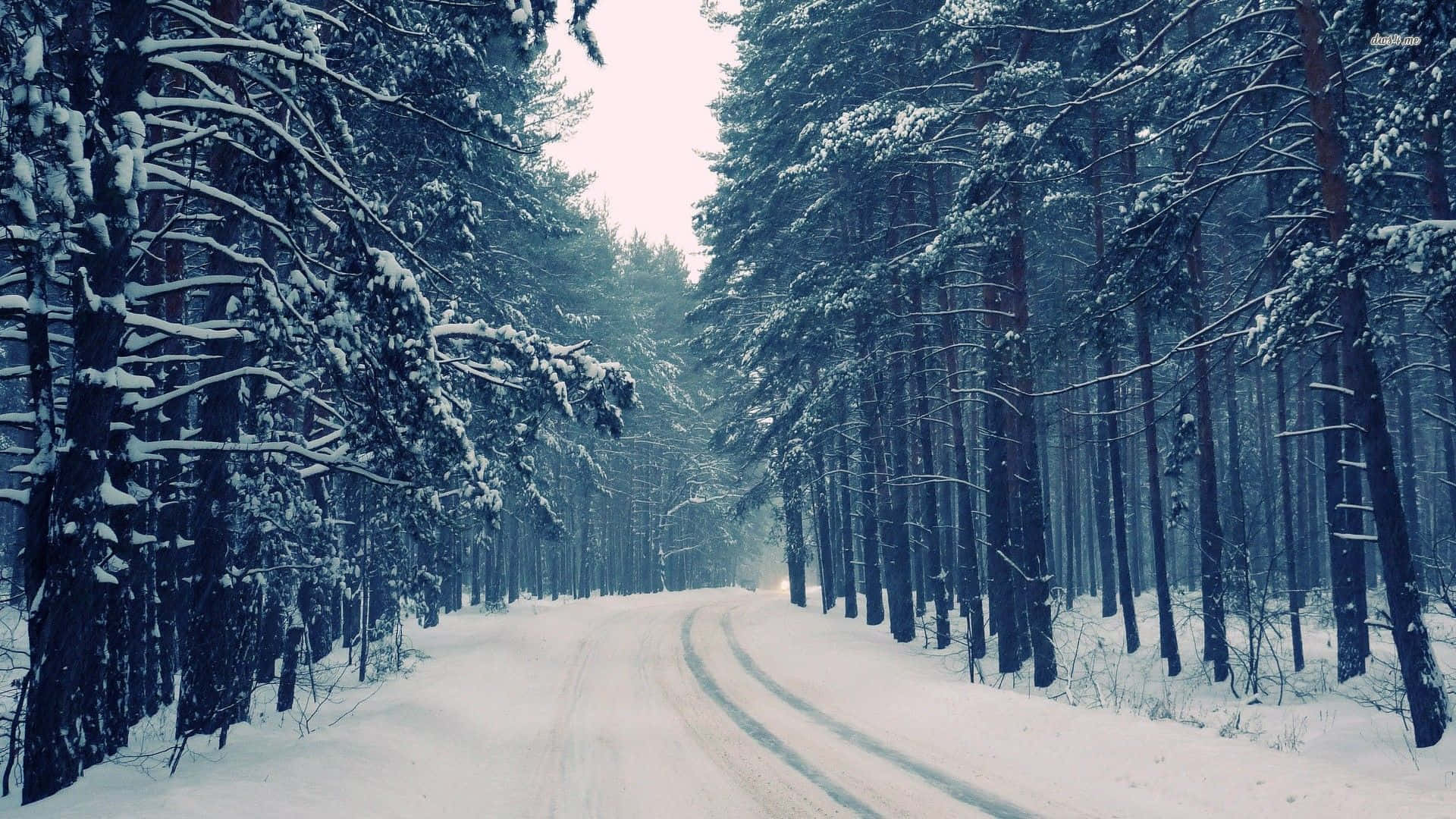 A Snow Covered Road In A Forest