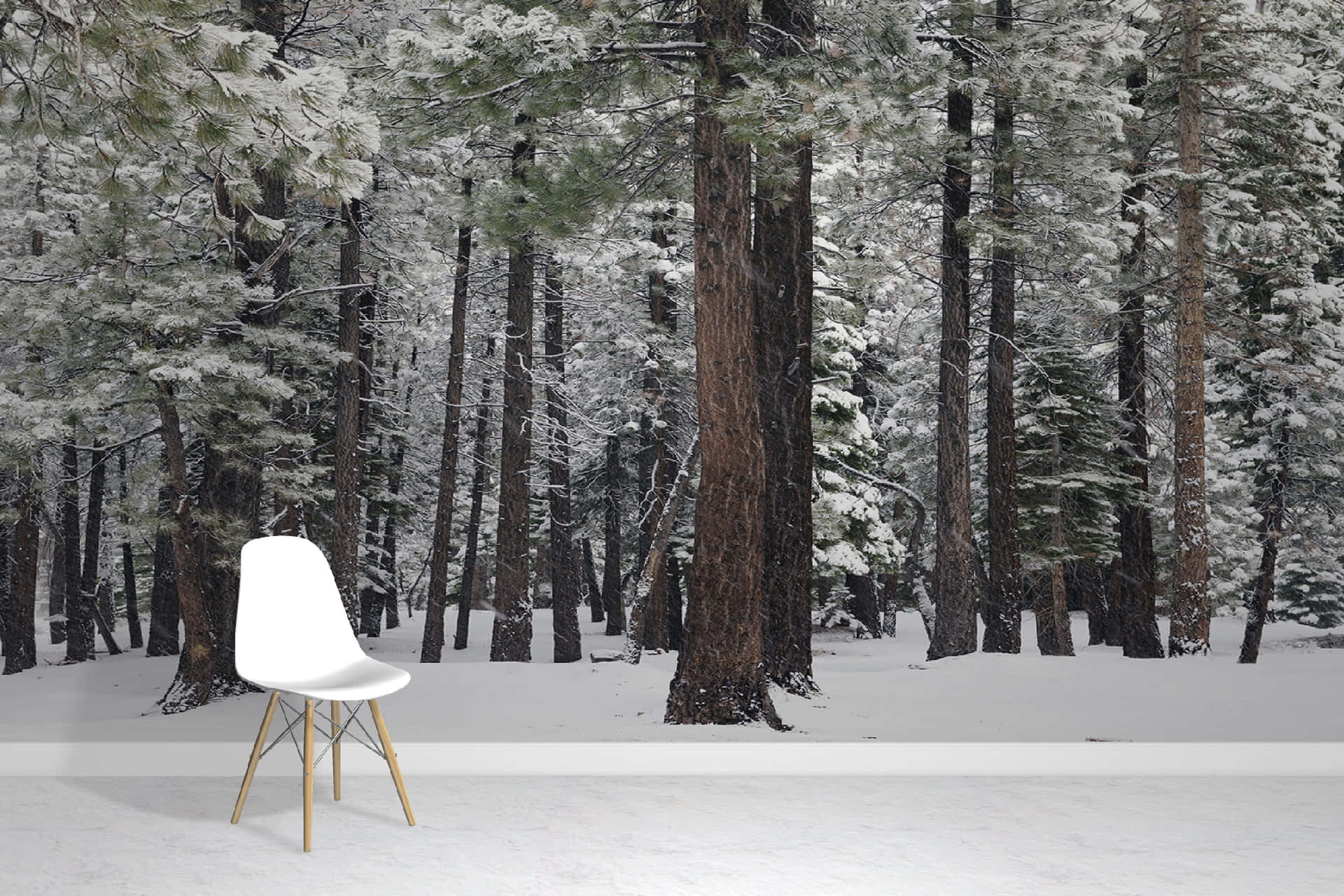 A Snowy Forest With A Chair And A White Wall