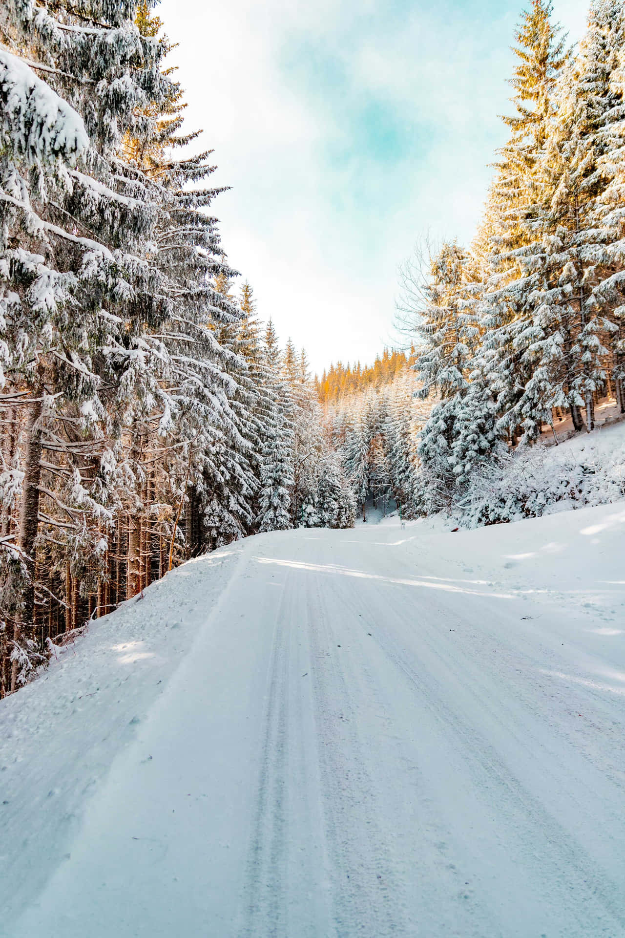 Snowy_ Forest_ Road_ Winter_ Scene.jpg Wallpaper